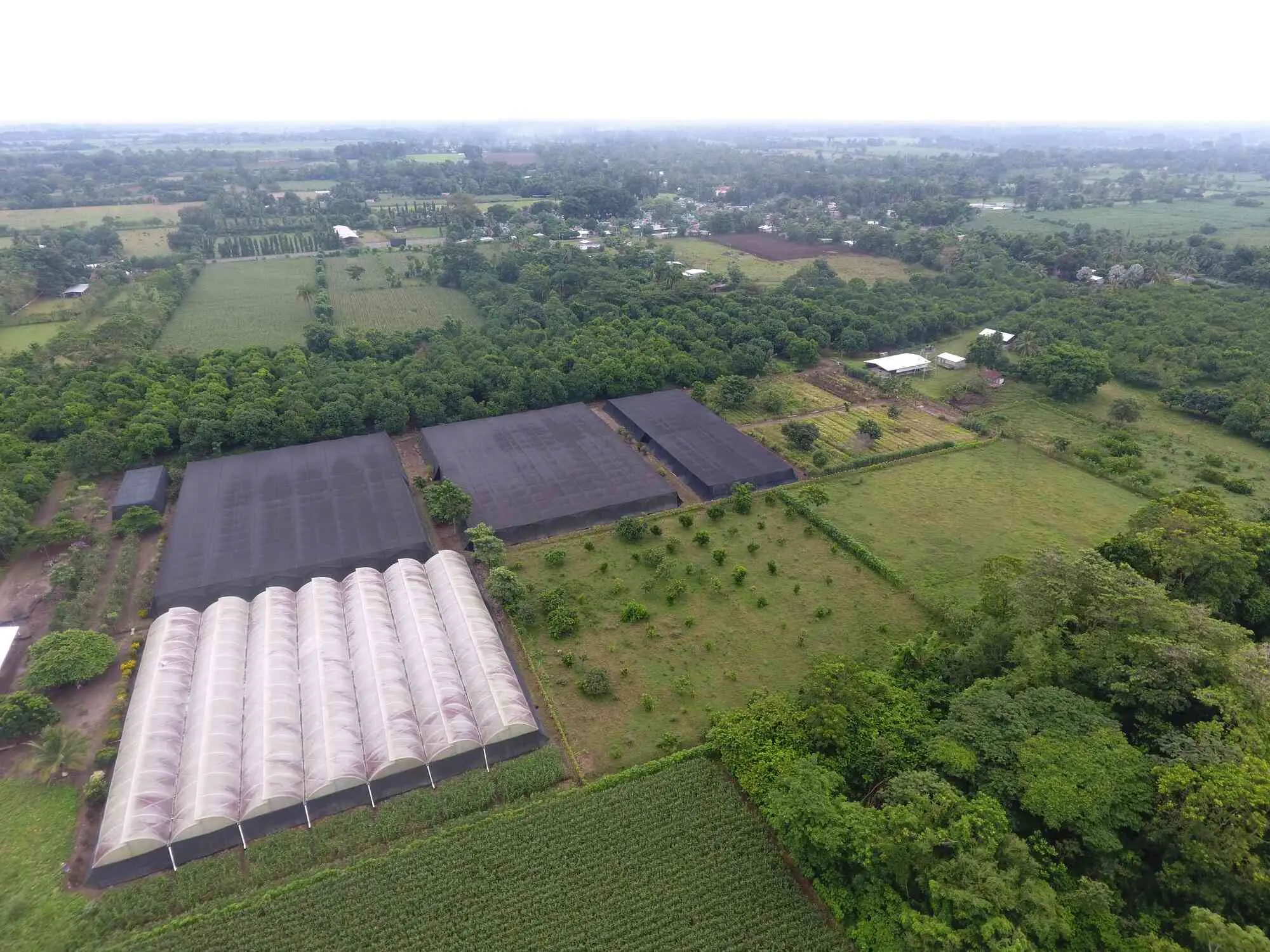 La Conquista farm