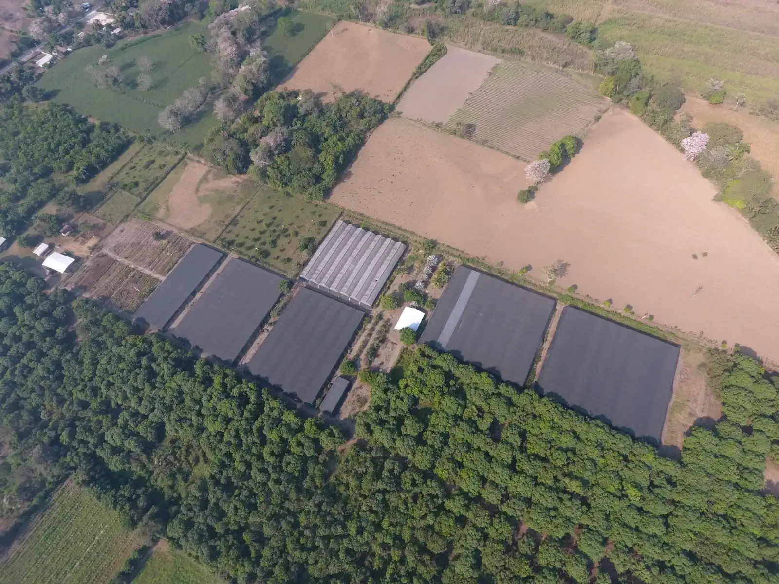 Aerial view of shade houses on one of our farms